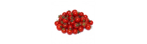 Pomidory cherry / koktajlowe