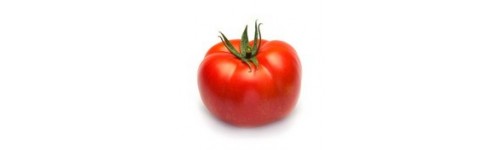 Pomidor mięsisty
